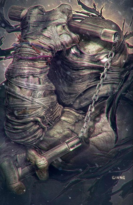 Teenage Mutant Ninja Turtles: The Last Ronin - The Lost Years #2 Virgin Variant