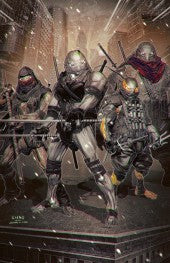 Teenage Mutant Ninja Turtles: The Last Ronin II – Re-Evolution #1   Variant